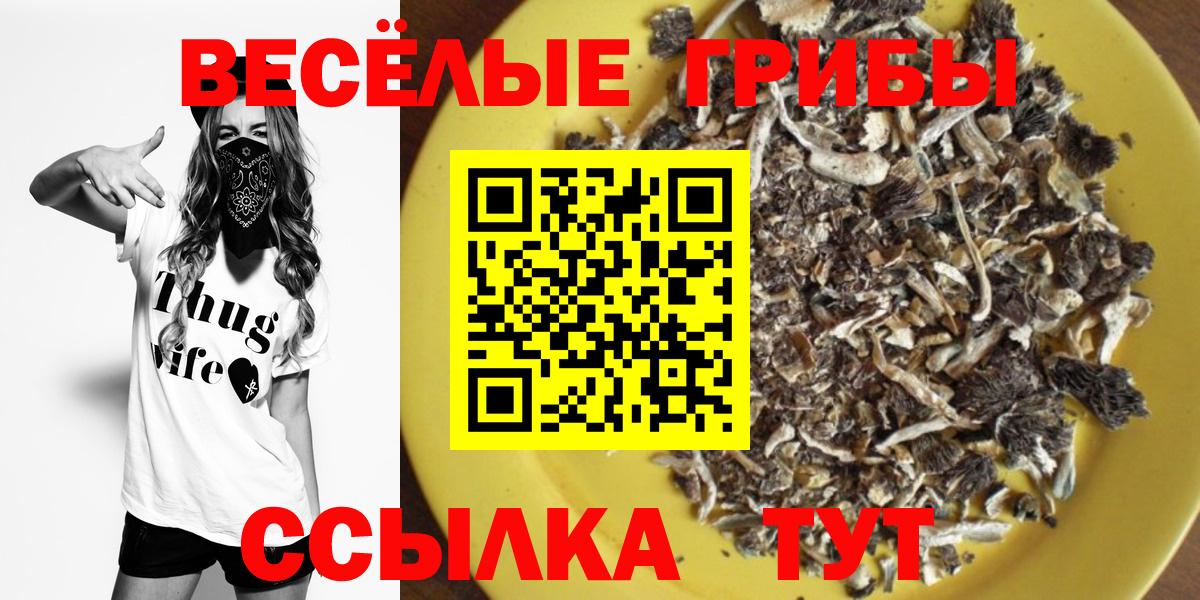 Псилоцибиновые грибы Psilocybine cubensis Белая Калитва